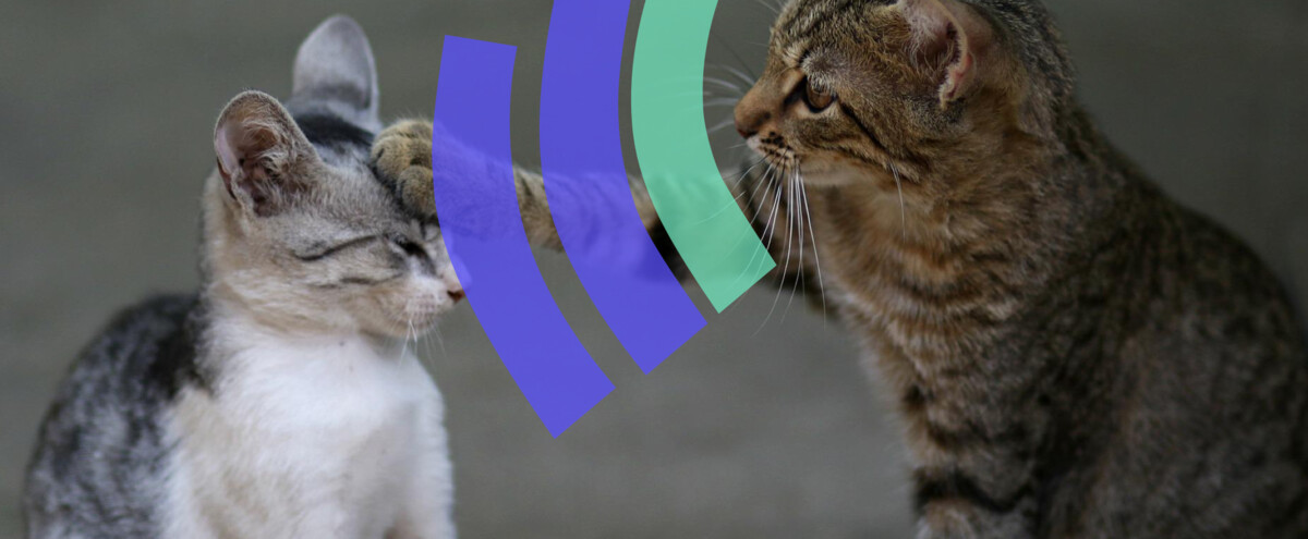 What is the difference between product manager and product owner?