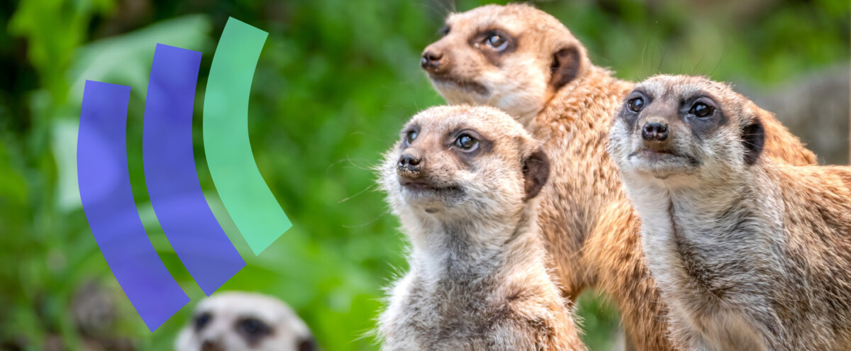 Stormly Starter Tutorial