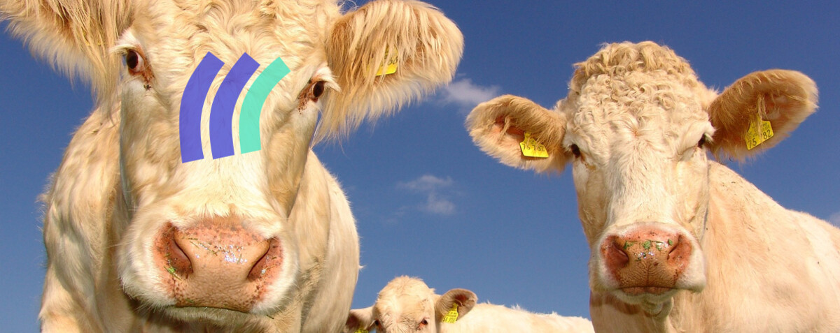 Best European Alternative to Amplitude